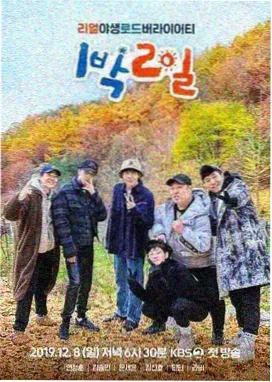 荒野厨房剧照