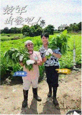 改造一平米剧照
